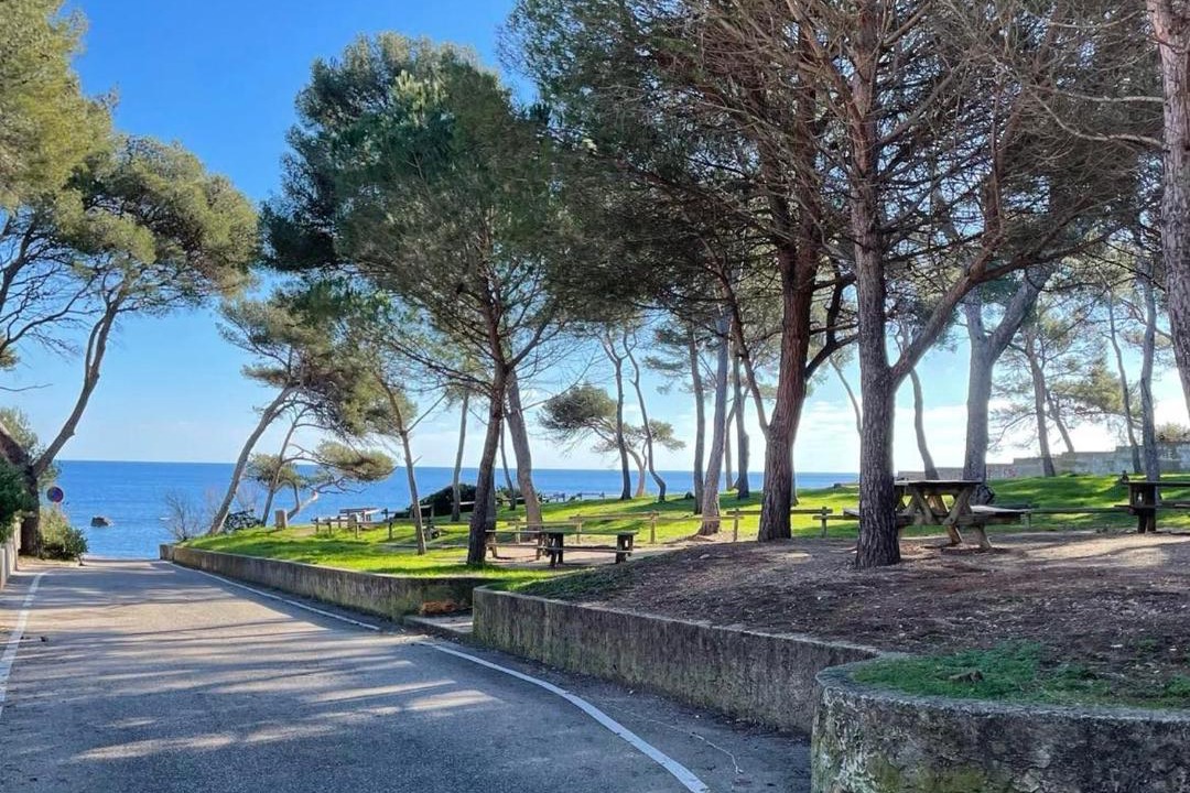 Photo of Others in La Seyne-sur-Mer