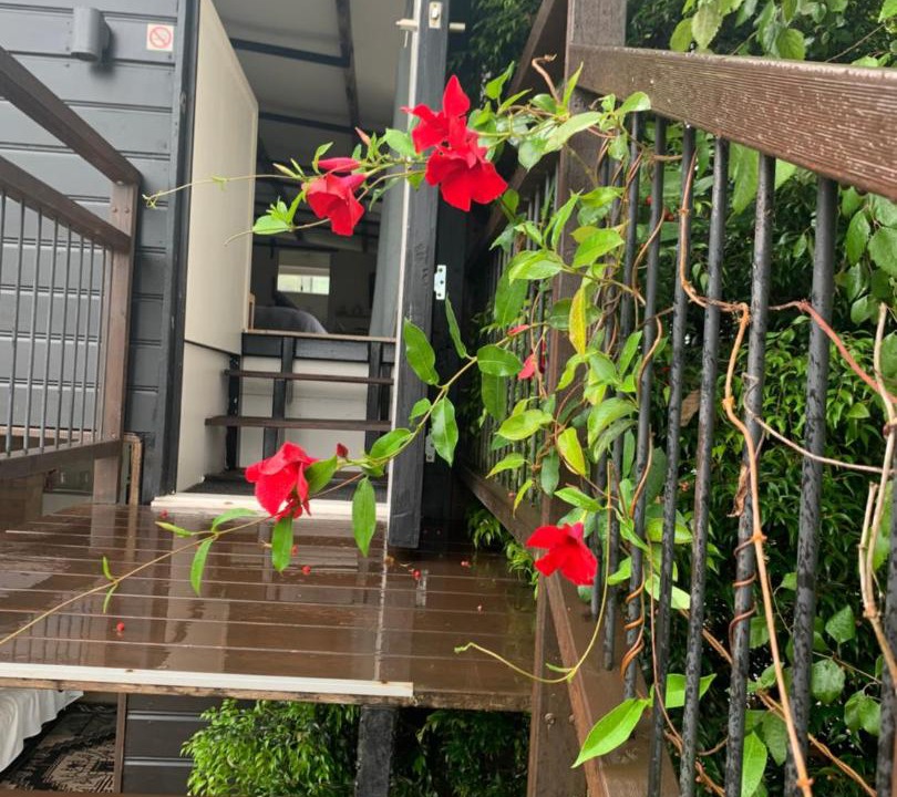 Photo of Others in Fernmount