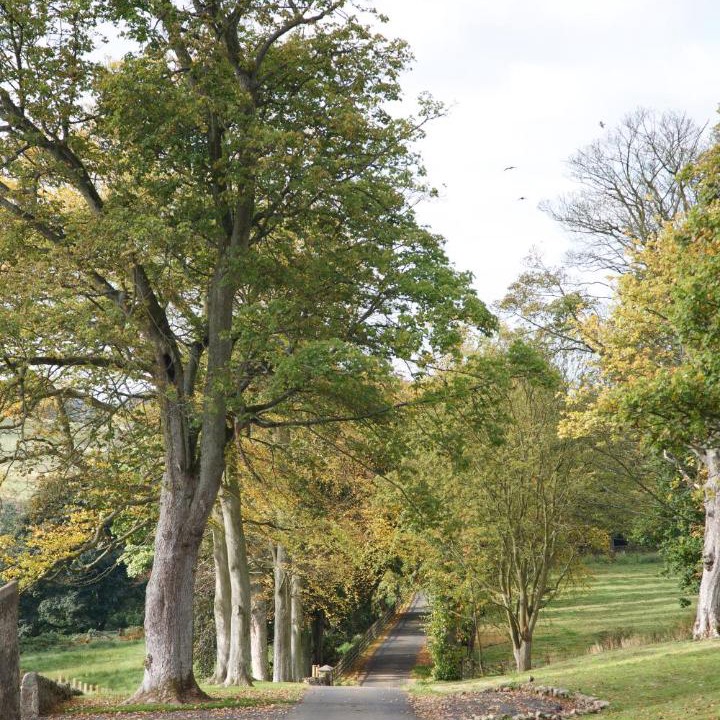 Photo of Others in Dunfermline