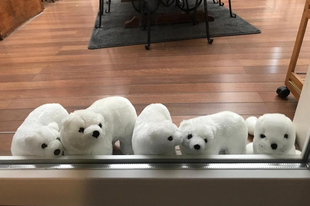 Photo of Others in Oberhaslach