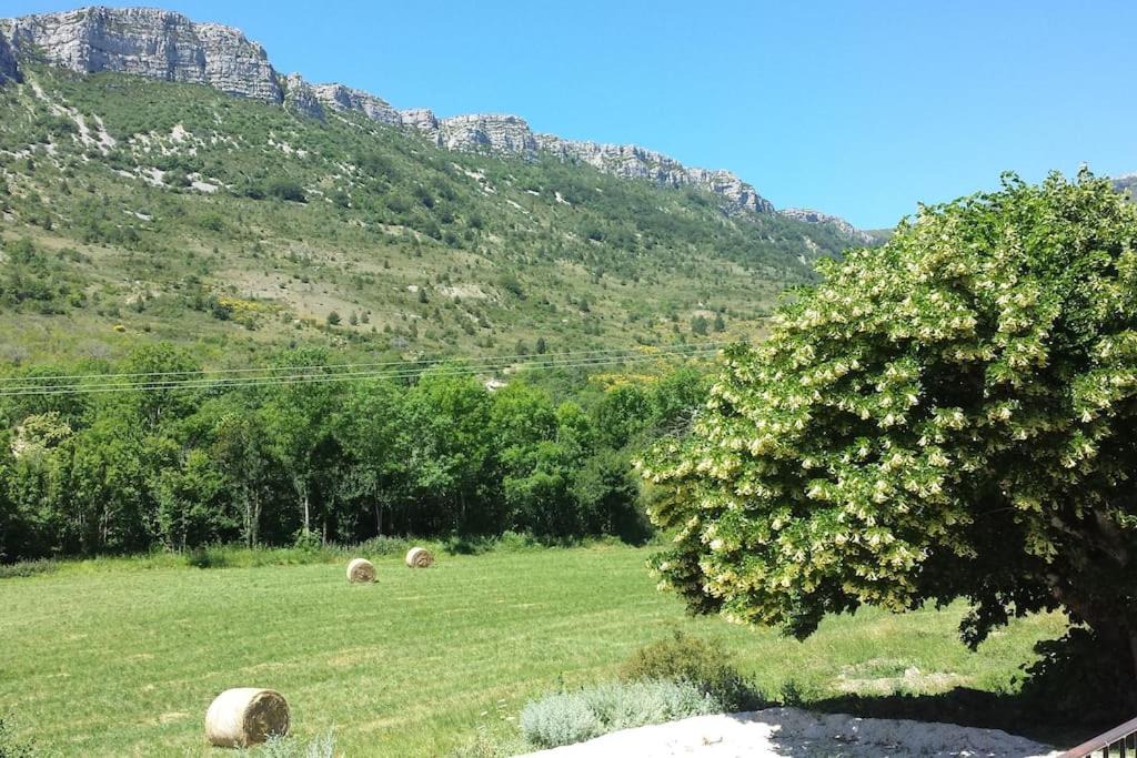 Photo of Outdoor in Villeperdrix