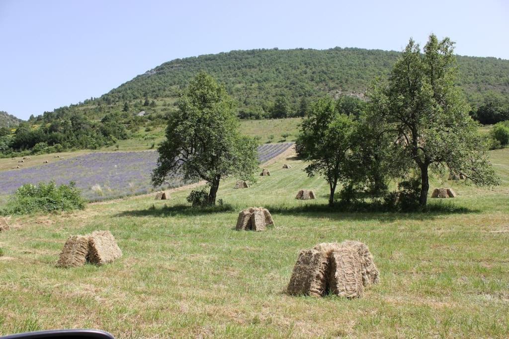 Photo of Others in Villeperdrix