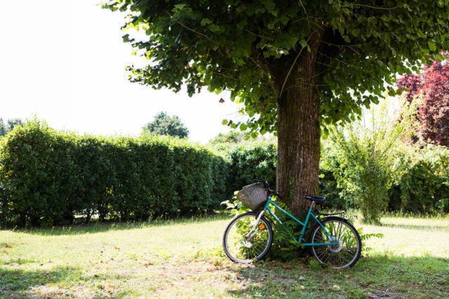 Photo of Others in Listrac-Medoc