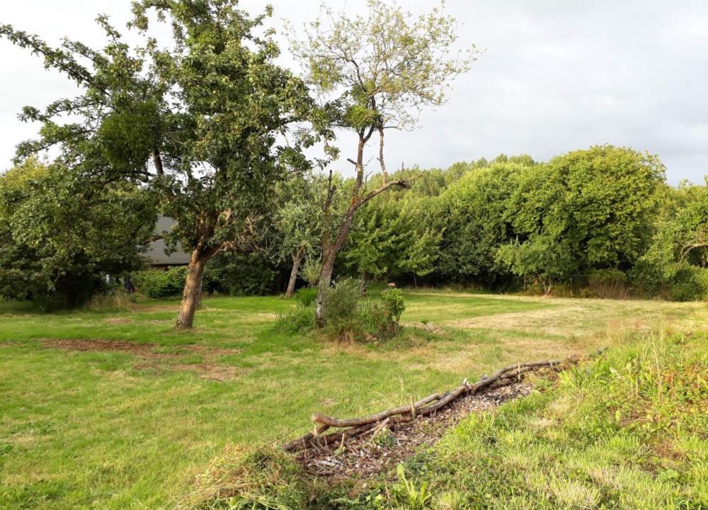 Photo of Others in Vire-Normandie