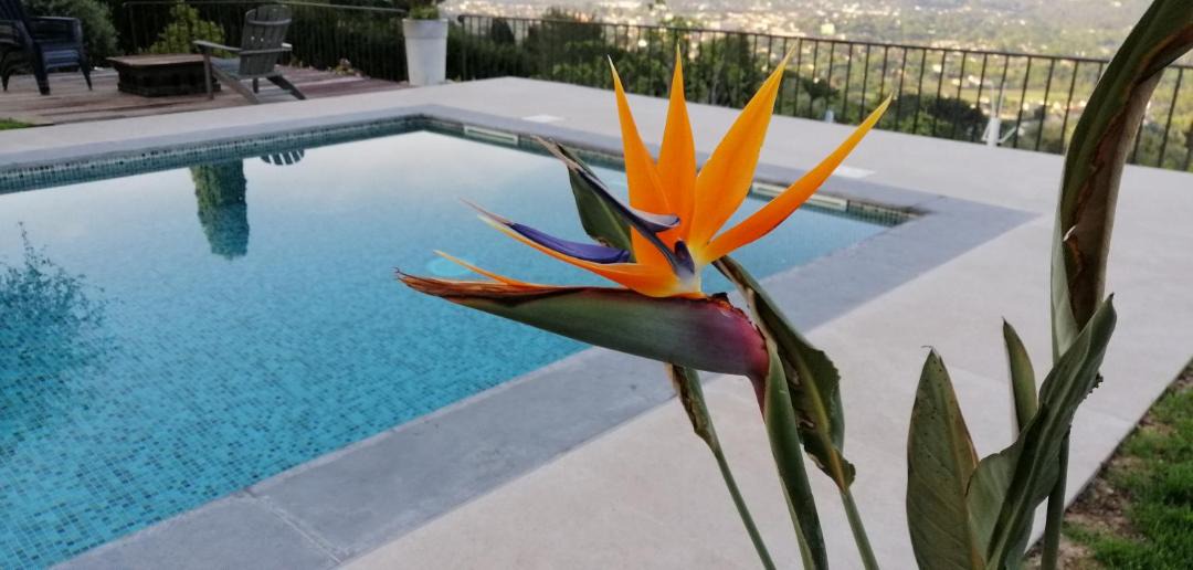 Photo of Outdoor in Plascassier