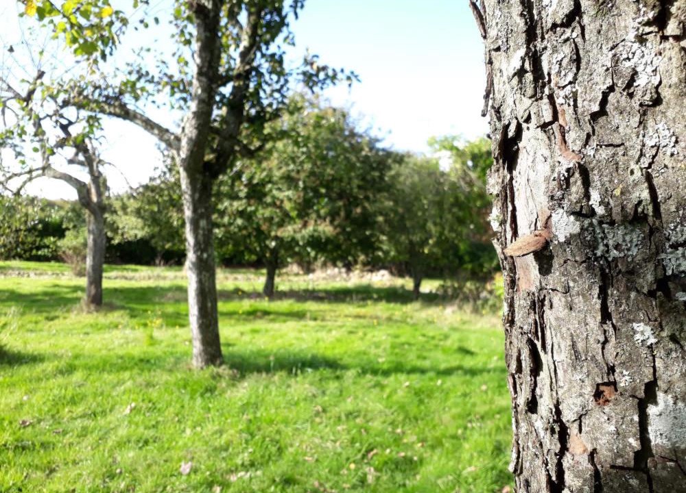 Photo of Others in Vire-Normandie
