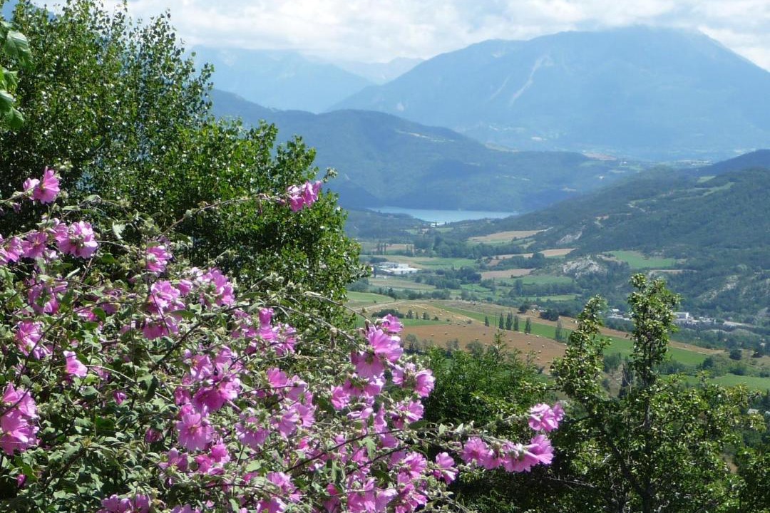 Photo of Others in La Batie-Neuve