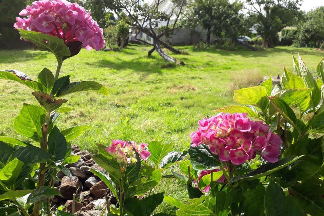 Photo of Others in Vire-Normandie