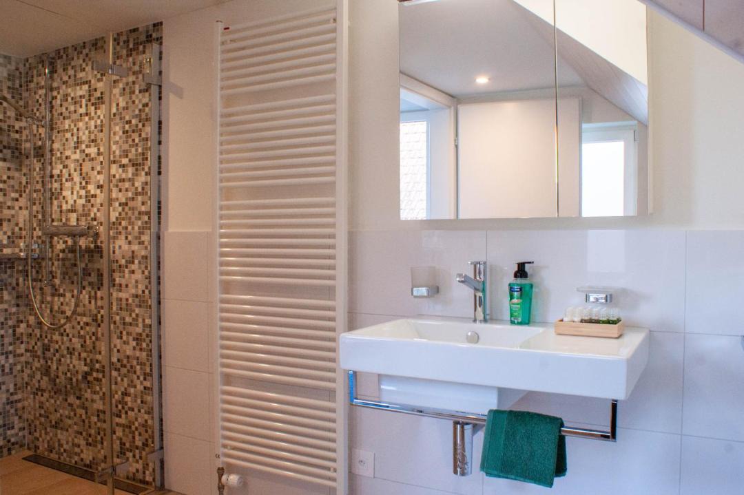 Photo of Bathroom in Alpnachstad