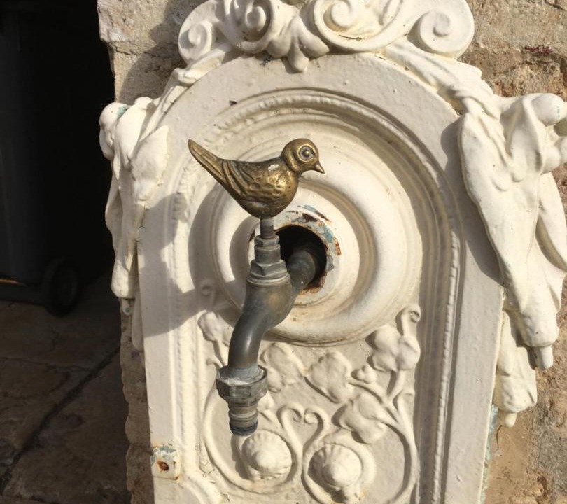 Photo of Others in Savigny-les-Beaune