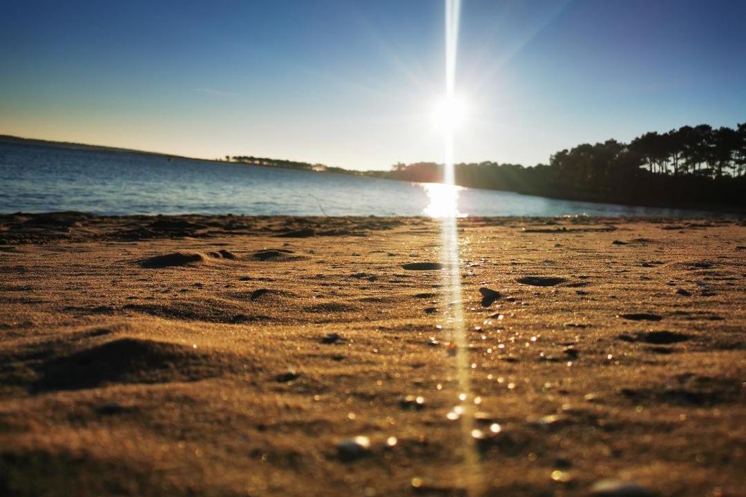 Photo of Others in Saint-Denis-d'Oleron