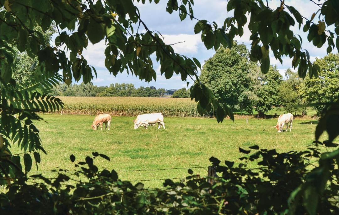 Photo of Others in Montaudin