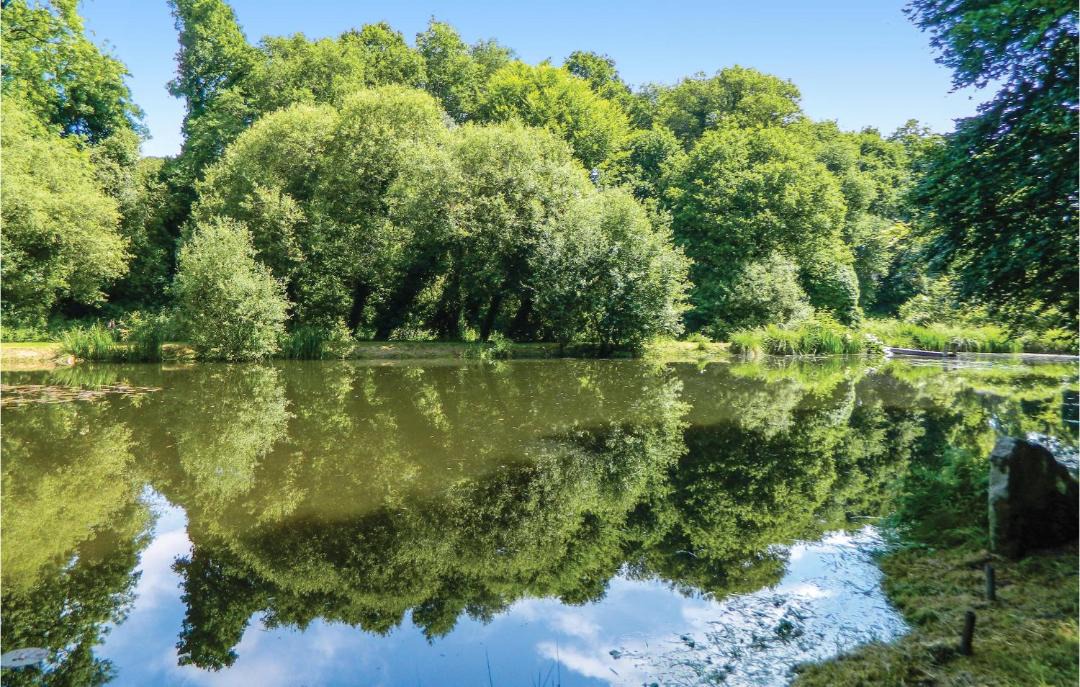 Photo of Others in Guern