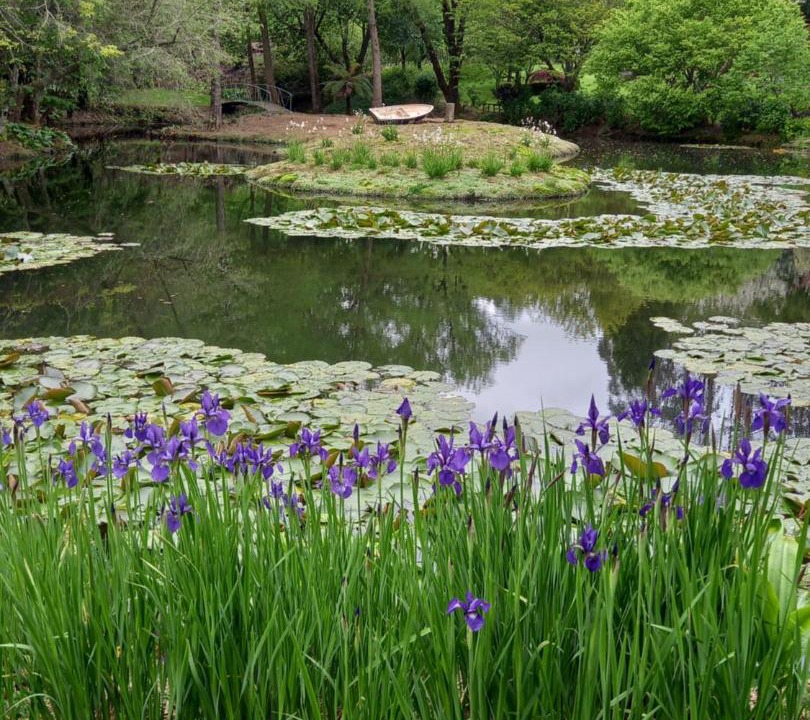 Photo of Others in Aria