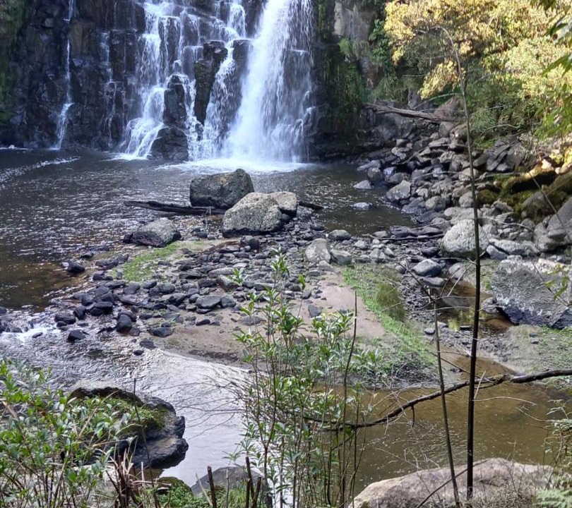 Photo of Others in Aria