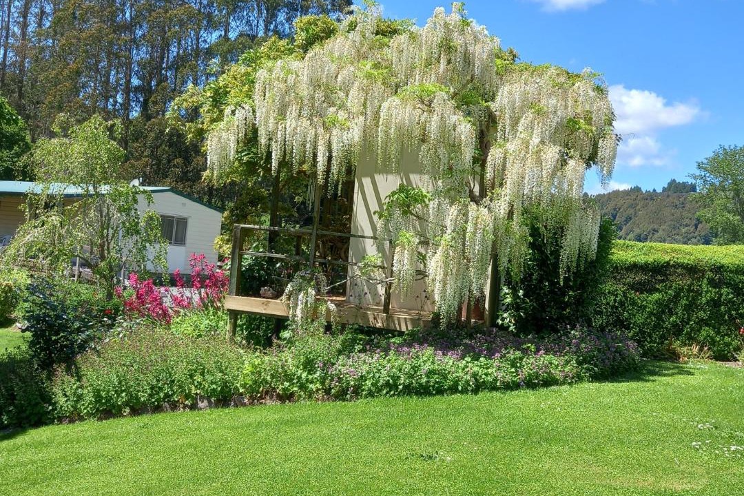 Photo of Others in Aria