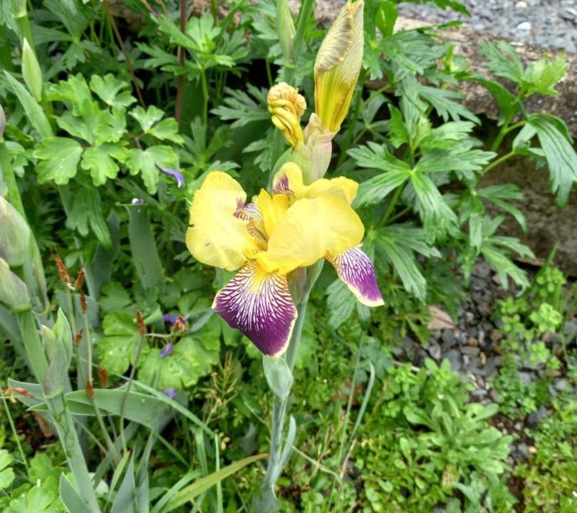 Photo of Outdoor in Aria