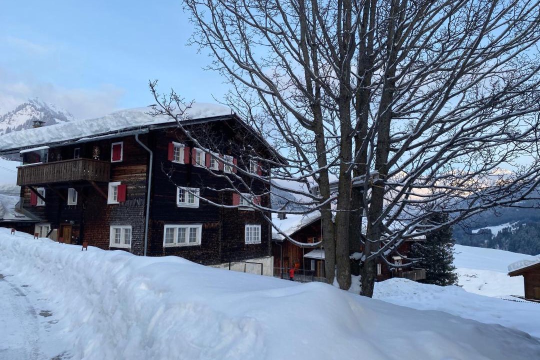 Photo of Others in Sedrun
