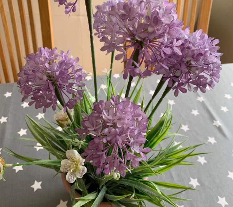 Photo of Others in New Forest District