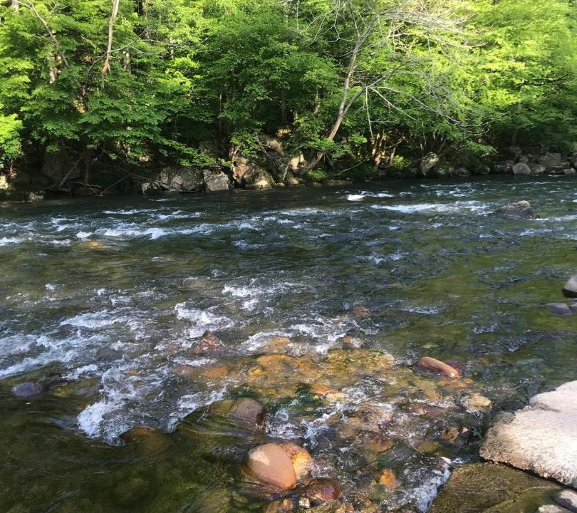Photo of Others in Townsend