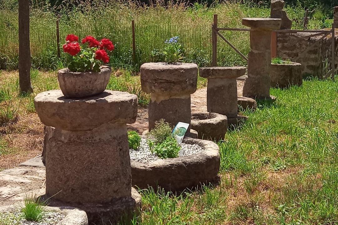 Photo of Others in Arnac-la-Poste