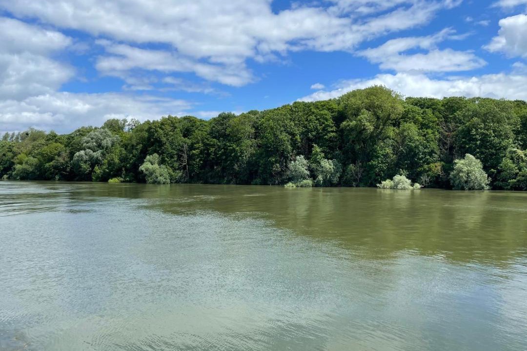 Photo of Others in Triel-sur-Seine
