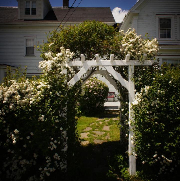 Photo of Others in St. Andrews