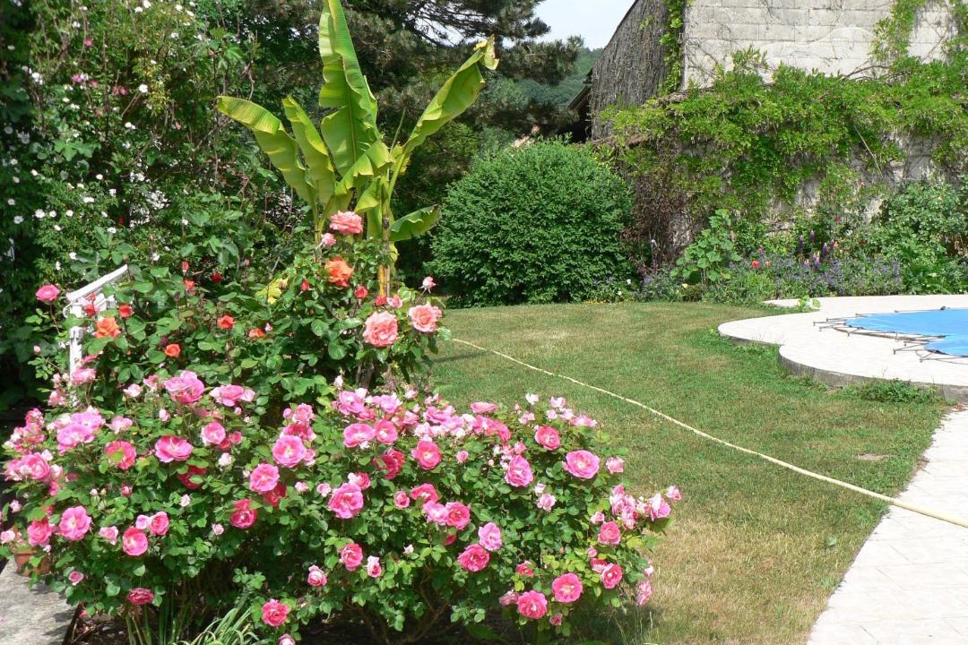 Photo of Others in Nanteuil-la-Foret