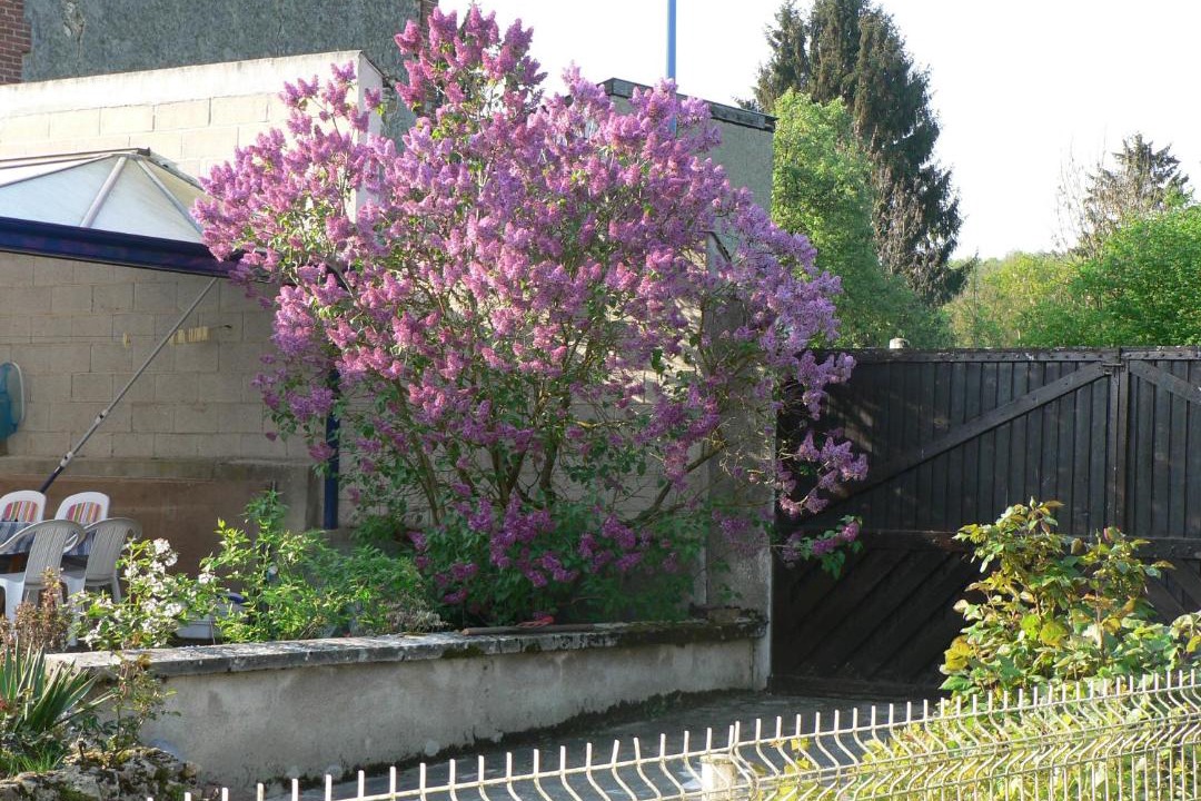 Photo of Others in Nanteuil-la-Foret