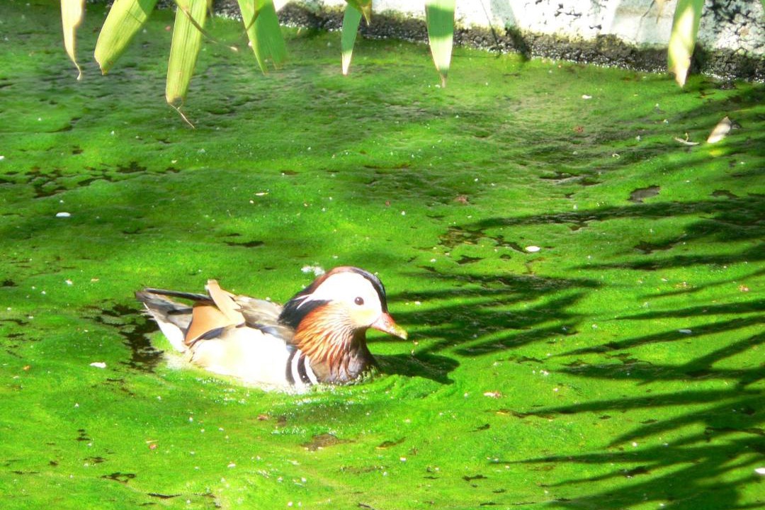 Photo of Others in Nanteuil-la-Foret