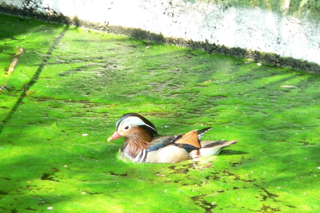 Photo of Others in Nanteuil-la-Foret
