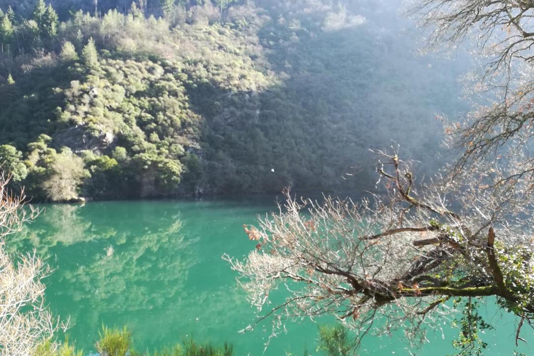 Photo of Others in Broquies