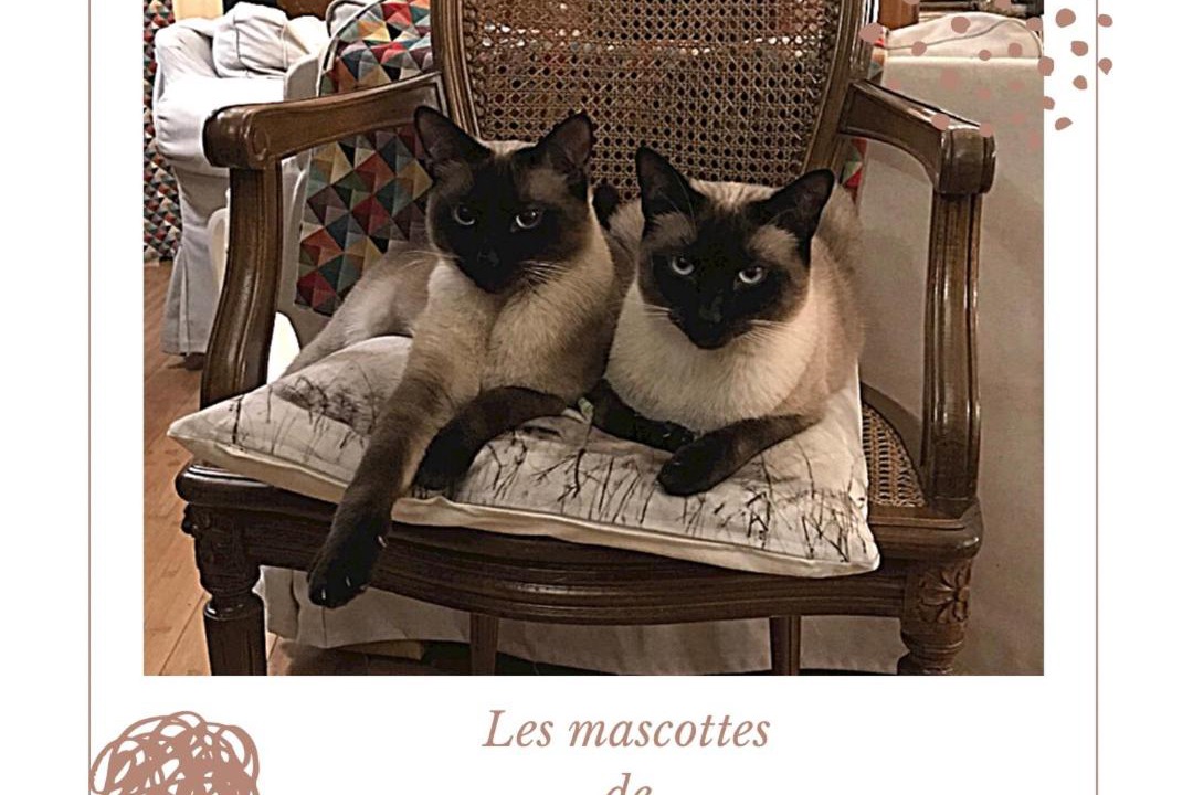 Photo of Others in Maisons