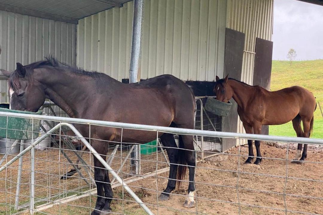 Photo of Others in Kia Ora