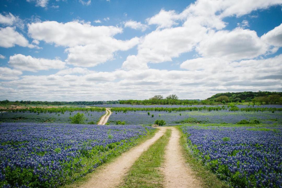 Photo of Others in Spicewood