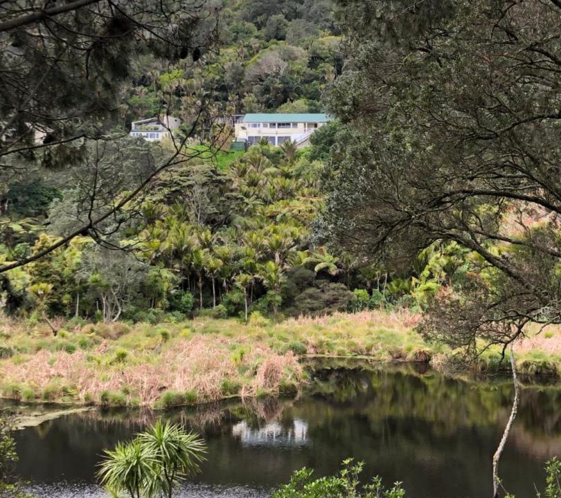 Photo of Others in Muriwai