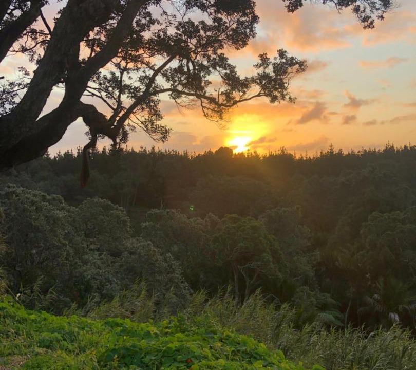 Photo of Others in Muriwai