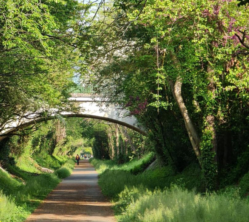 Photo of Others in Le Lude