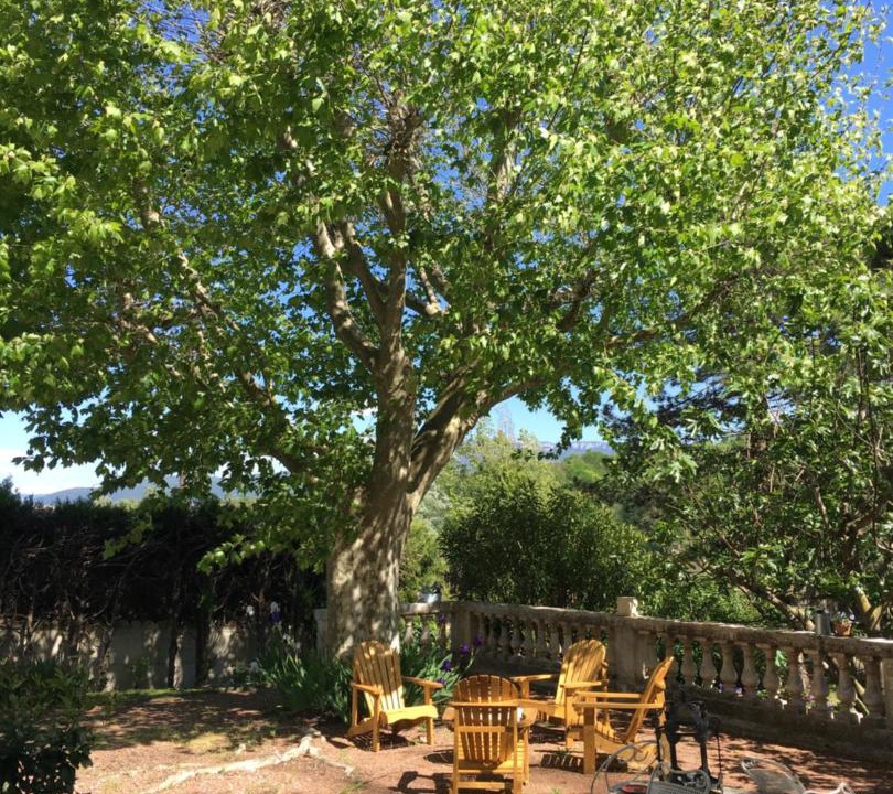 Photo of Others in Romans-sur-Isere