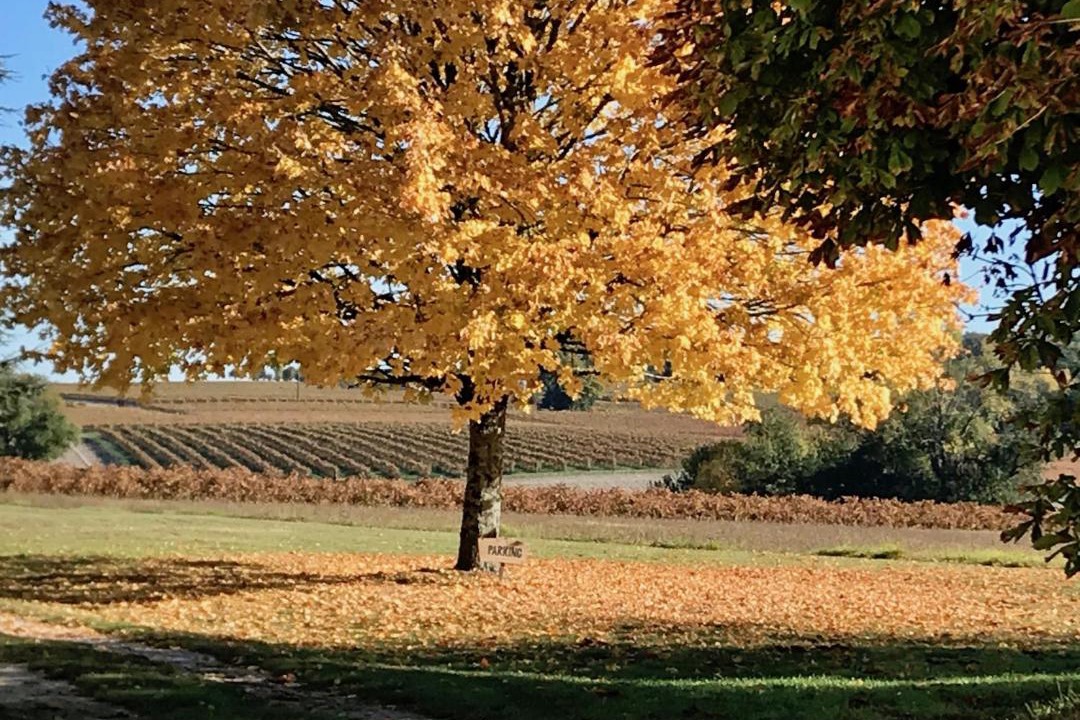 Photo of Others in Verrieres