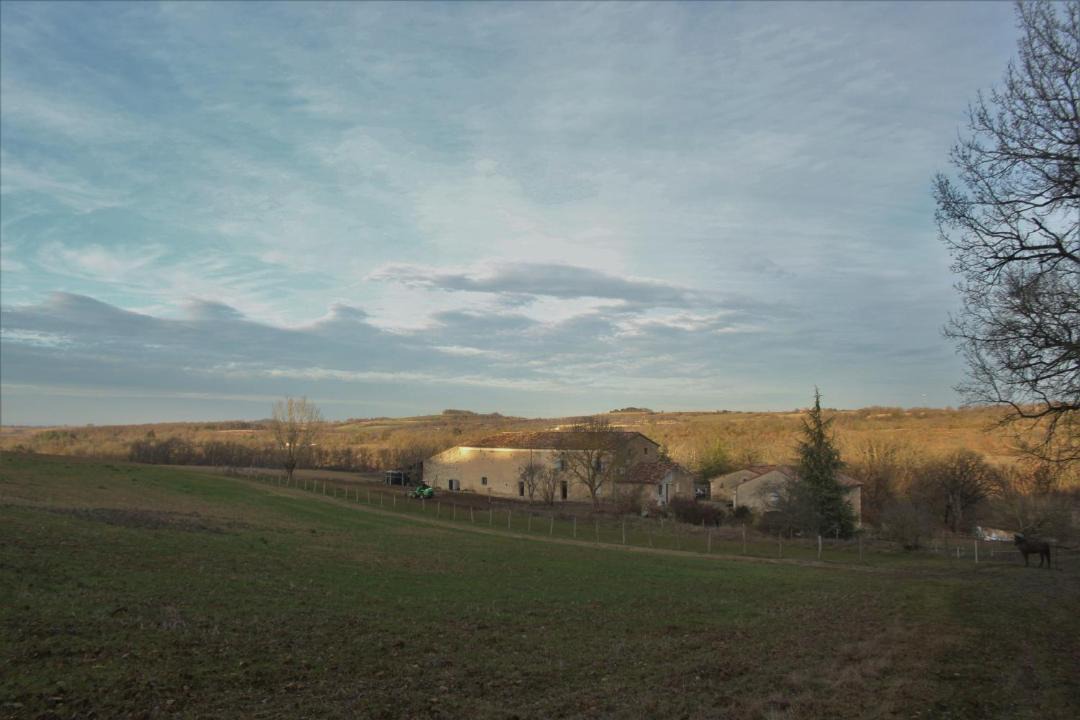 Photo of Others in Lautrec