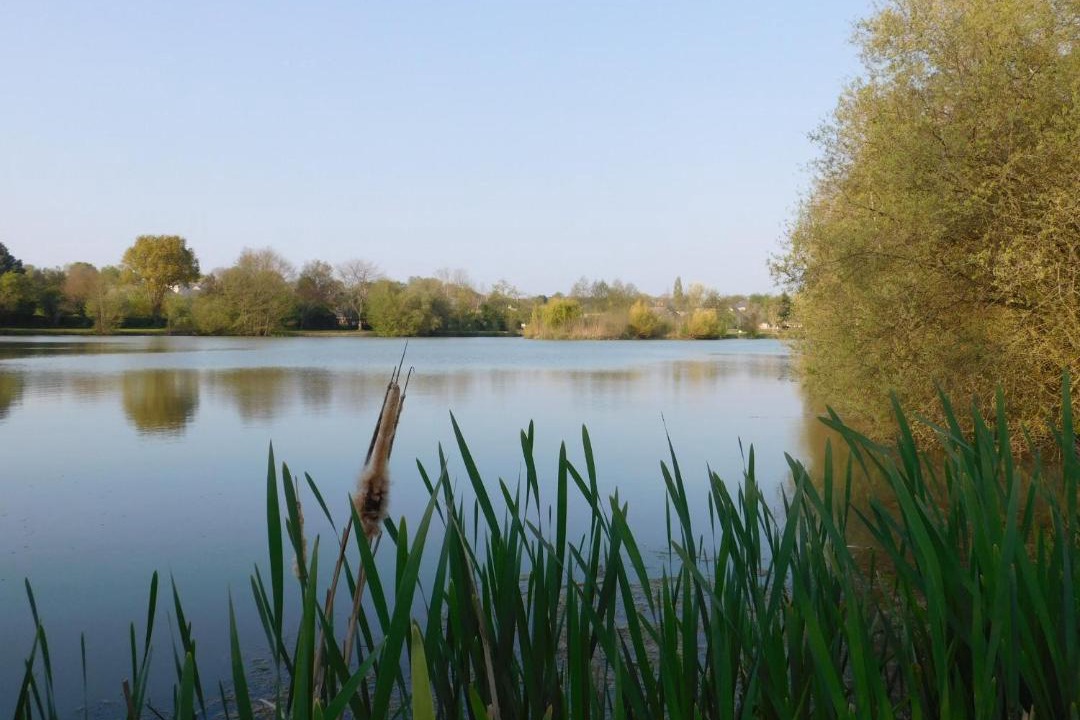Photo of Outdoor in Bouere