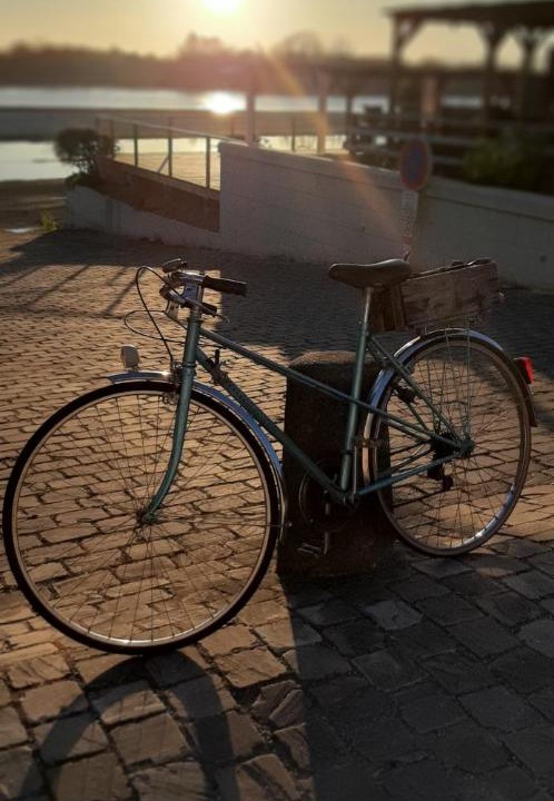 Photo of Others in Chenehutte-Treves-Cunault