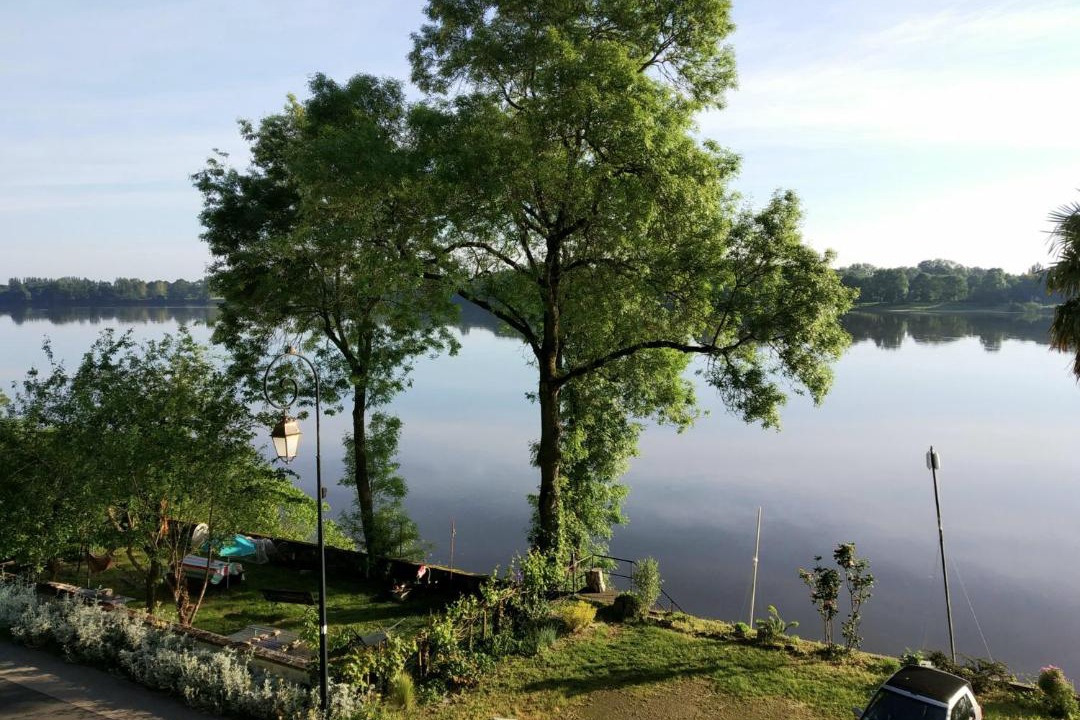 Photo of Others in Chenehutte-Treves-Cunault