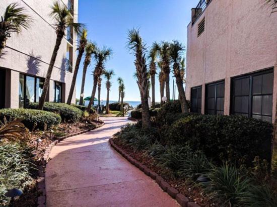 Photo of Buildings in Myrtle Beach