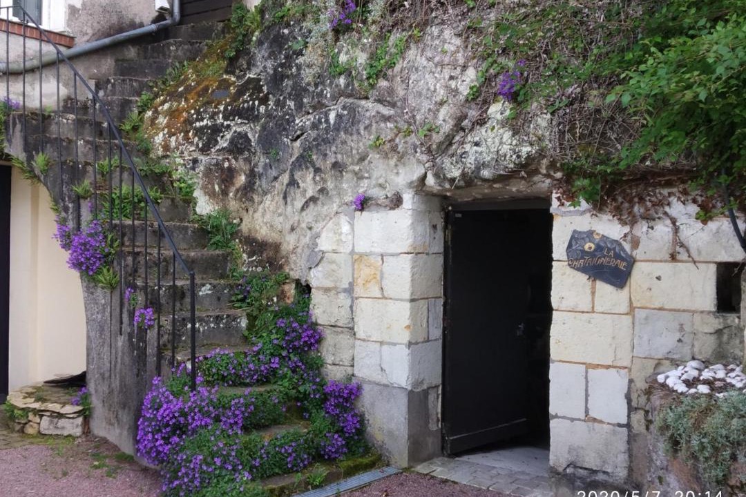 Photo of Others in Chenehutte-Treves-Cunault