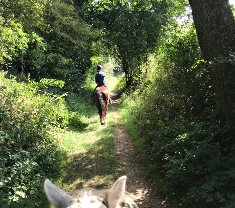 Photo of Others in Beaurevoir