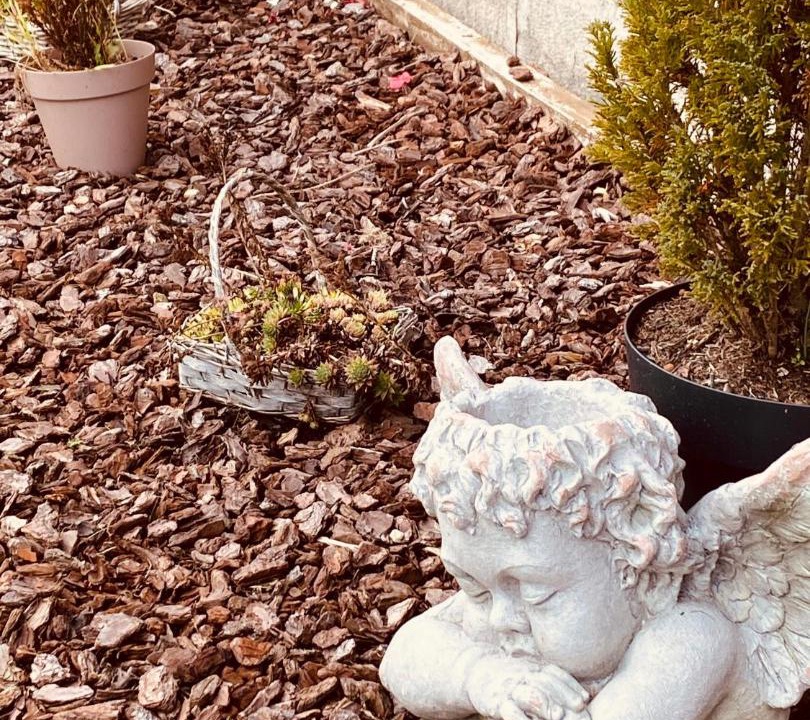 Photo of Others in Avesnes-sur-Helpe