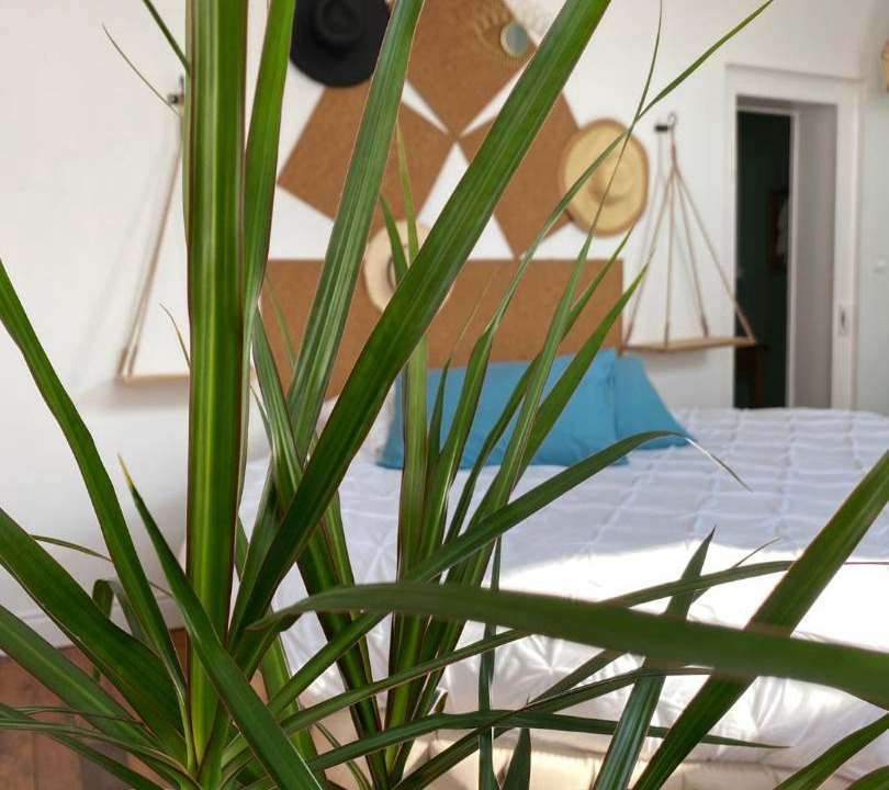 Photo of Others in Avesnes-sur-Helpe