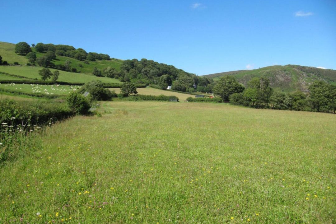 Photo of Outdoor in Rhayader